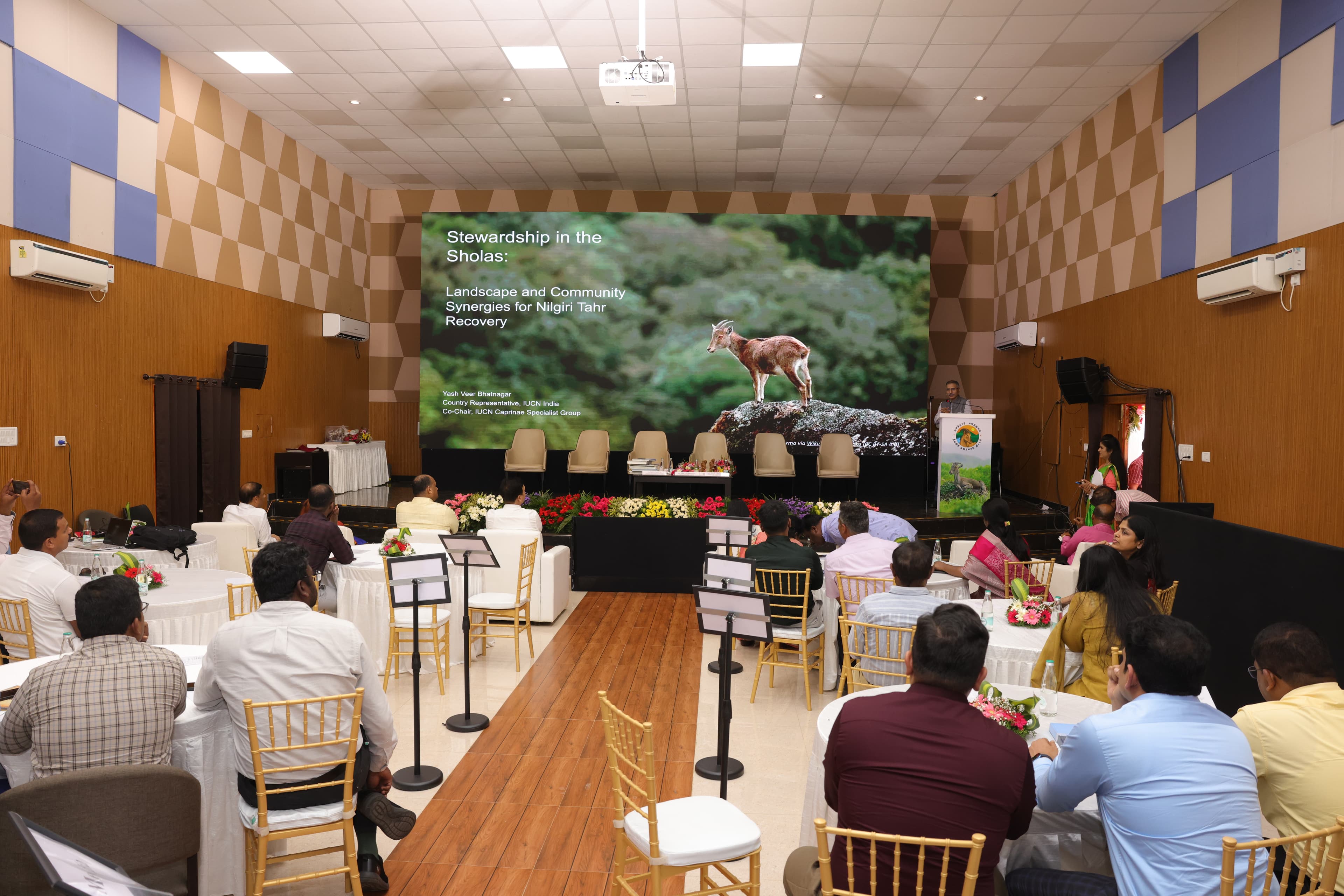 Nilgiri Tahr conservation work