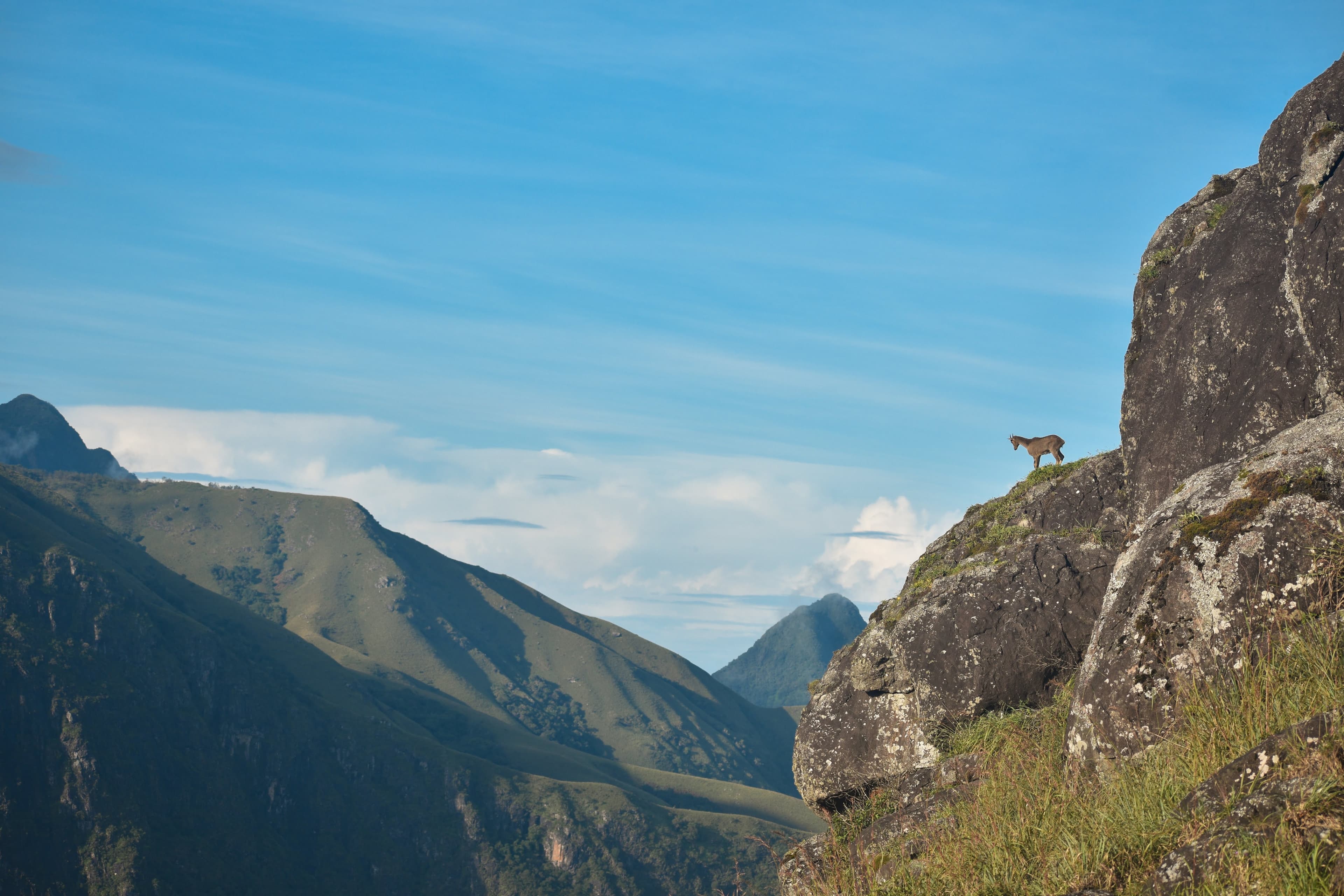 National Parks