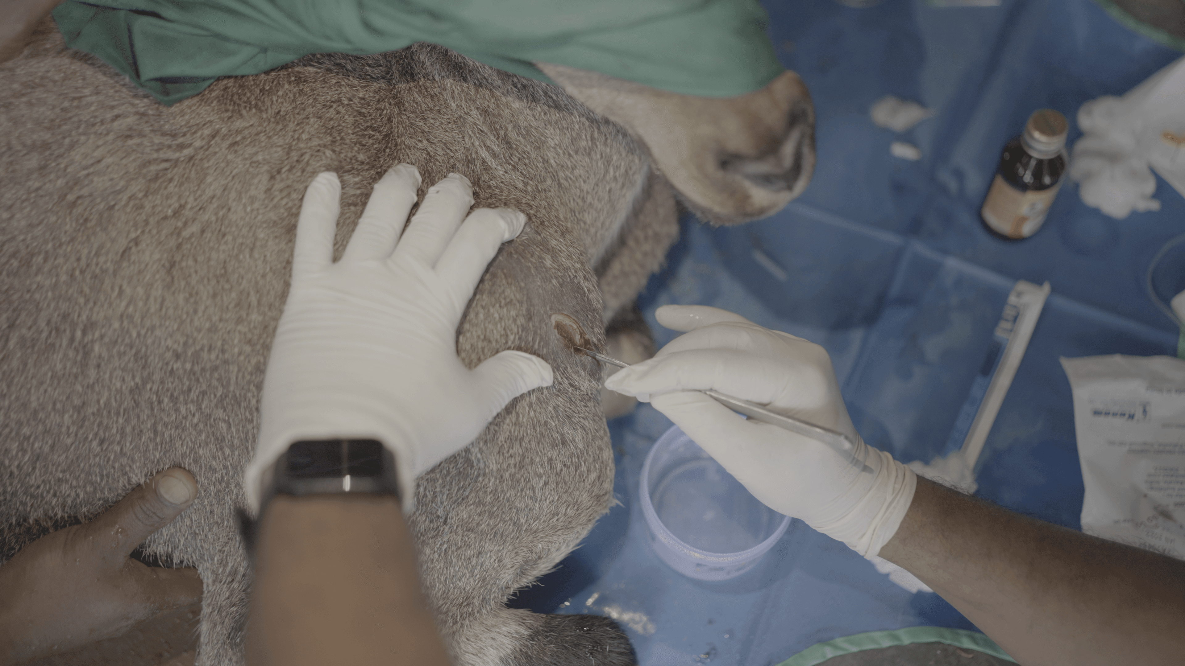 DIAGNOSIS AND TREATMENT