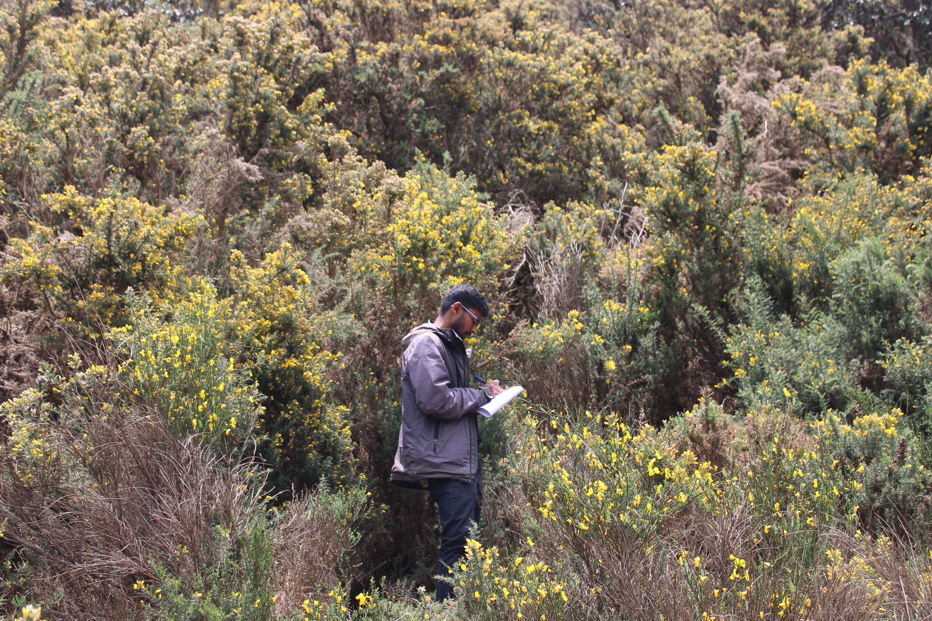 Habitat Restoration