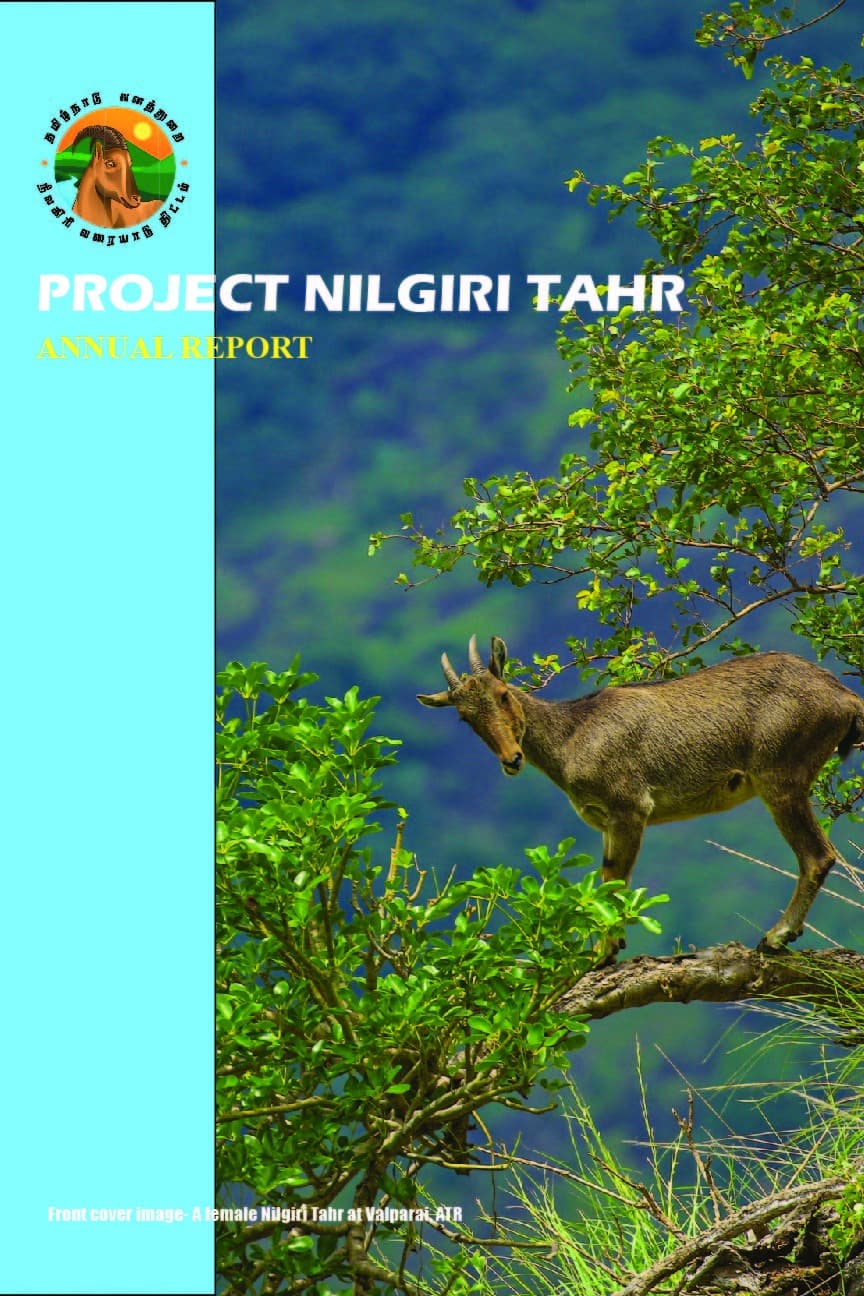 Research & Documentation