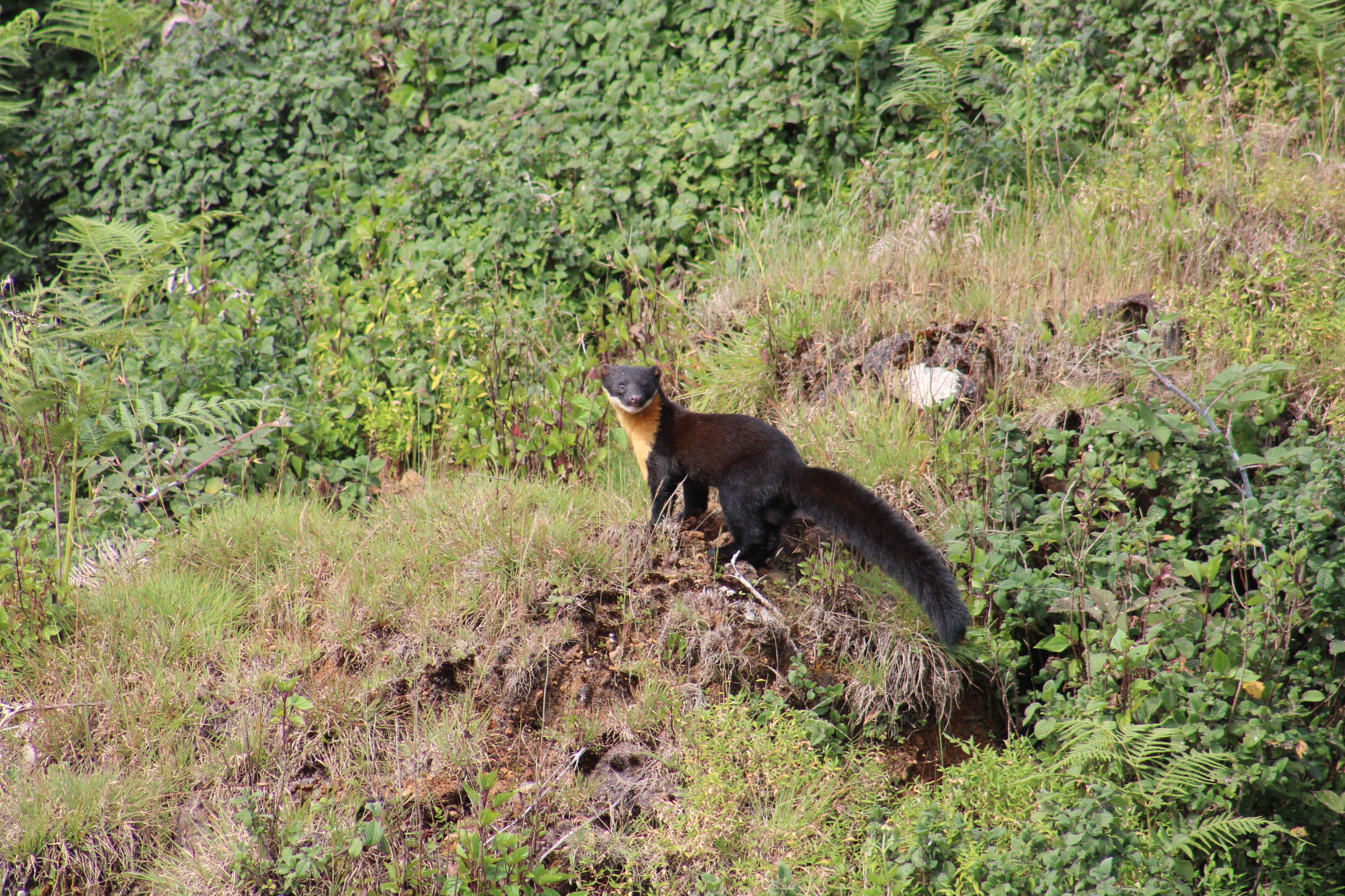 Wildlife Sanctuaries